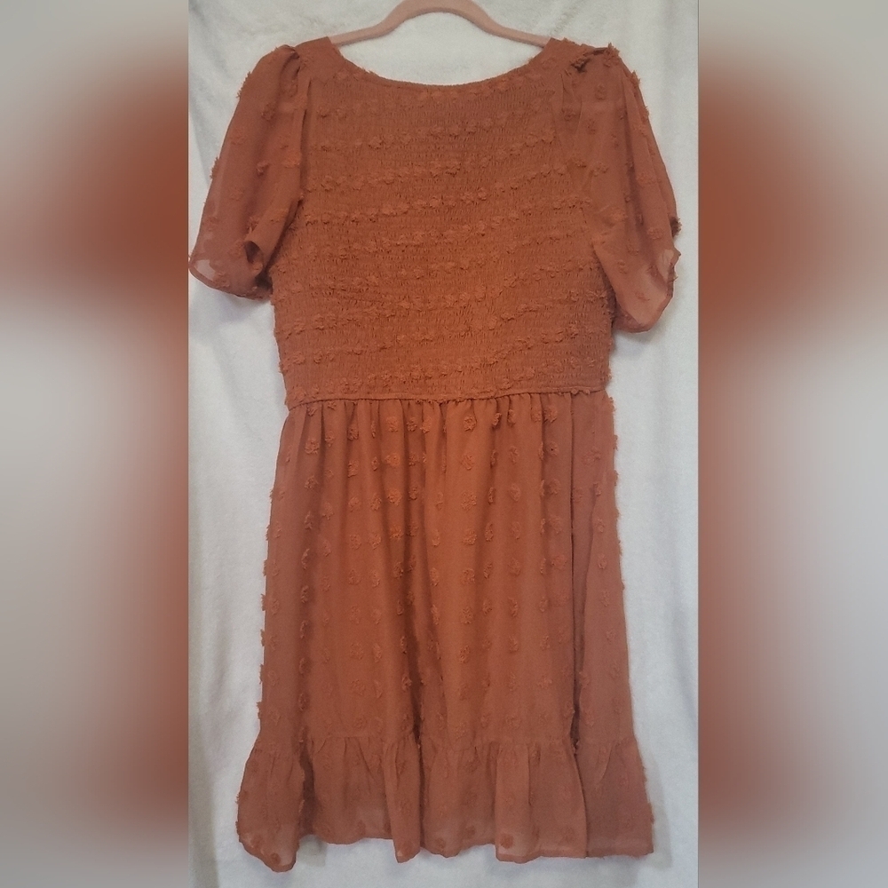 Rust Mini Dress - Picture 4 of 4